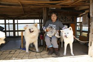 右が奥さん犬のつばき。店の看板犬、看板猫、看板娘が勢ぞろい　撮影／竹内摩耶