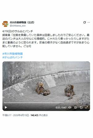 怒られるパンチくん（市川市動植物園公式Xより）