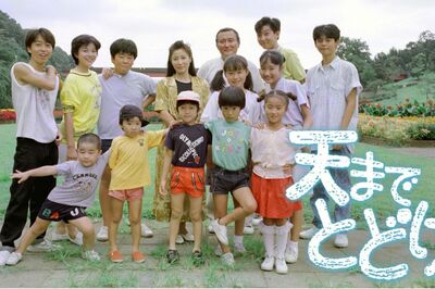 綿引勝彦さんが出演した『天までとどけ』は8年間で8シリーズが放送され、最高視聴率19％の大ヒット昼ドラだった