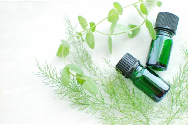 ※画像はイメージです