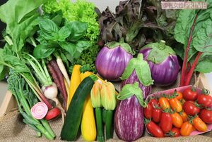 寒暖の差が激しい土地柄からか、甘みをもった河北町特有のイタリア野菜ができる