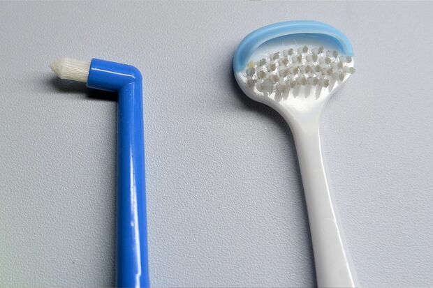 タフトブラシ（左）と舌ブラシ（右）