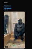 父・シャバー二の登場で緊張するキヨマサ(Xより)動物園