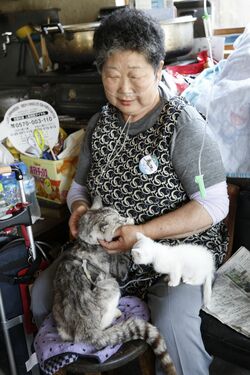 菊谷さんに撫でてもらい、気持ちよさそうなグレ子　撮影／竹内摩耶