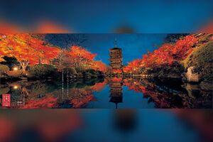 「東寺」'17年秋。“ニンゲンは、ちょっとしゃべりすぎかな。もの言わぬ景色の、なんと雄弁なことだろう。”