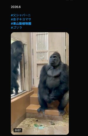 父・シャバー二の登場で緊張するキヨマサ(Xより)動物園