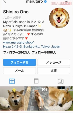 いつまでも見ていられる癒しのまる画像が満載のインスタ。動画もあり！