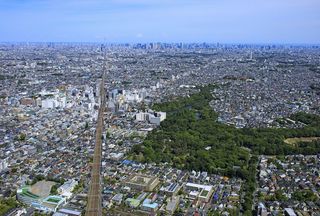 青梅特快(中央線・青梅線)沿線の離婚率にみる街格差