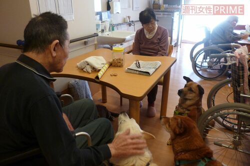 「さくらの里山科」で入居者と暮らす犬たち