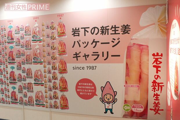 歴代パッケージがズラリ。料理の参考になるレシピの紹介も