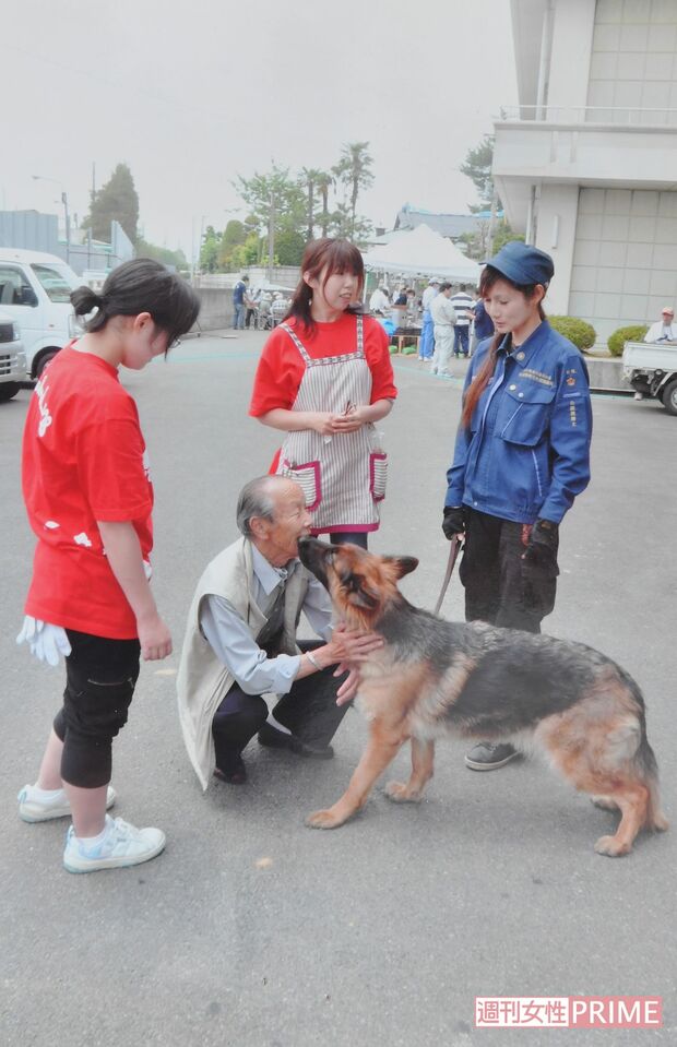 2011年、東日本大震災の避難所では「犬に癒されました」と感謝された