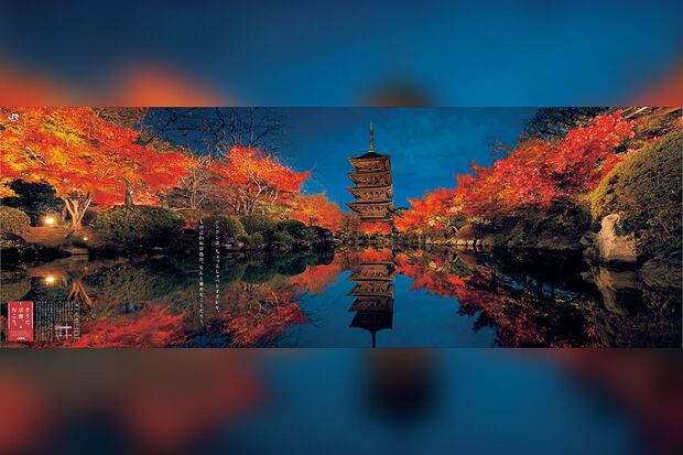 「東寺」'17年秋。“ニンゲンは、ちょっとしゃべりすぎかな。もの言わぬ景色の、なんと雄弁なことだろう。”