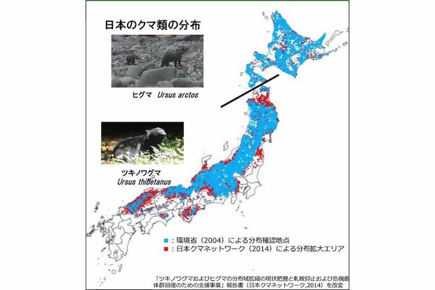 クマ類の分布(環境省資料より)