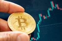 金融のプロが大予測!『暗号資産』で金持ち爆誕?ビットコインの今後を左右するのは「アメリカ大統領選」