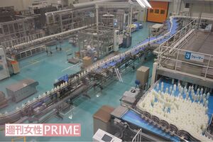 圧巻の製造ライン見学。各工程を経てカルピスウォーターが次々と完成　撮影／渡邉智裕
