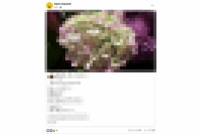 逮捕数日前に新かほり容疑者が「超いいね！」した投稿（Facebookより）