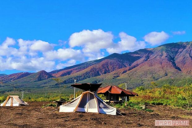 『ペットの里』は広大な地に