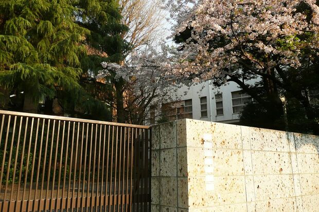 慶應幼稚舎の正門