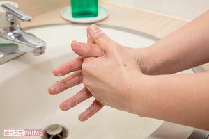 写真はイメージです