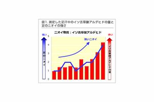 試験内容：20〜50代男女の足のニオイの強さ（折れ線グラフ）と、足の指の間から採取した汗中のニオイ物質の量（棒グラフ）の関係を調べた（ロート研究所実施）　出典：ロート製薬HPより