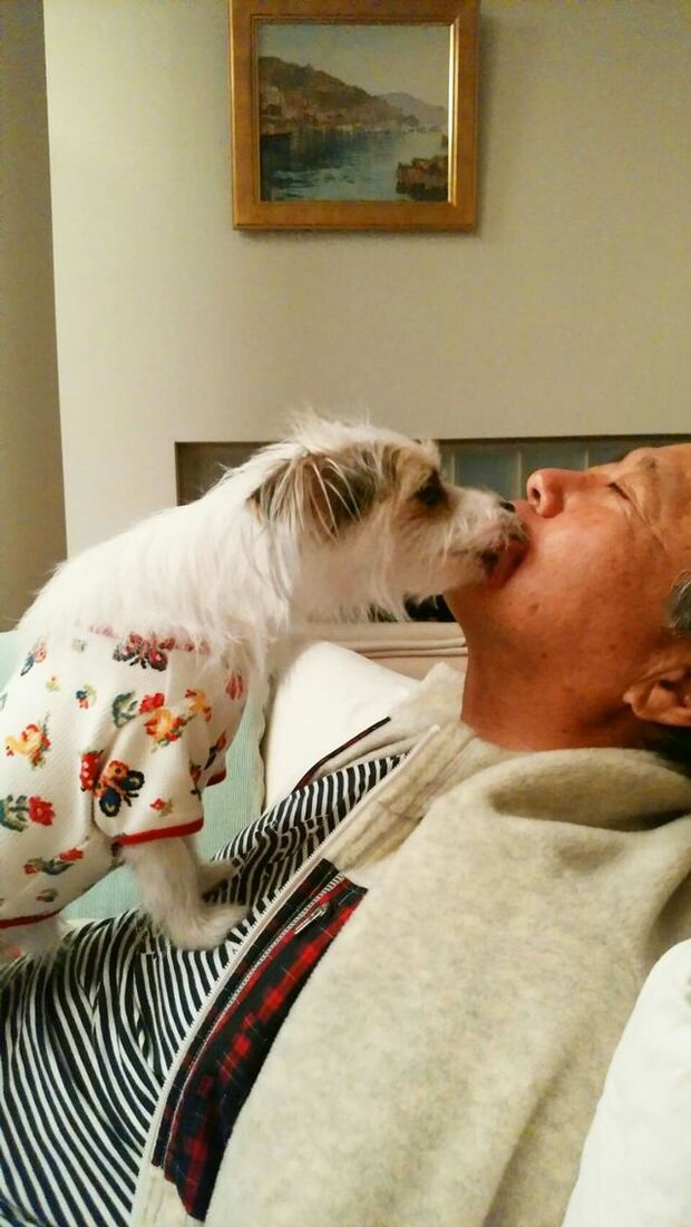 ジャックラッセルテリアとマルチーズのハーフである愛犬・ミレジュちゃんにメロメロ