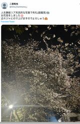 絵文字が多めの二宮和也のTwitter