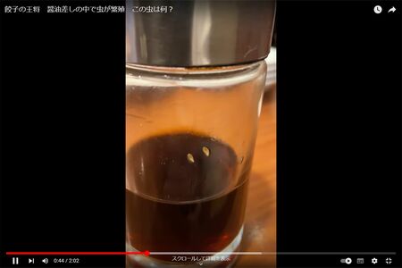 専門家によると、ショウジョウバエなどの幼虫の可能性が高いという　2/4（SNSより）