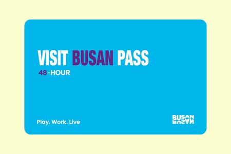 VISITBUSANPASS