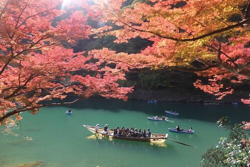豊かな自然を感じる紅葉した木々と保津川の眺め。保津川下りを体験するならJR嵯峨野線亀岡駅が便利 撮影/村田博之