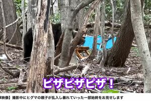 ユーチューバーH氏がYouTubeに投稿した“ヒグマ遭遇”動画。ヒグマがピザを食べる様子が