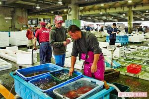 赤い競り帽をかぶり、小田原漁港を自由に歩き回る依田シェフ（右から2人目）。盟友でもあるヒラメ漁師の伊代田工さん（手前）と 撮影／寺澤太郎
