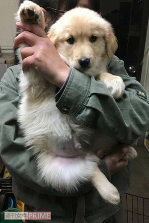 園で飼育中の「でん」。飼育員に抱っこされて幸せそう