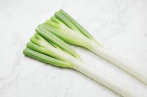 ※写真はイメージです