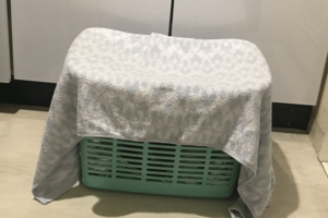 洗濯物は通気性が良い場所へ