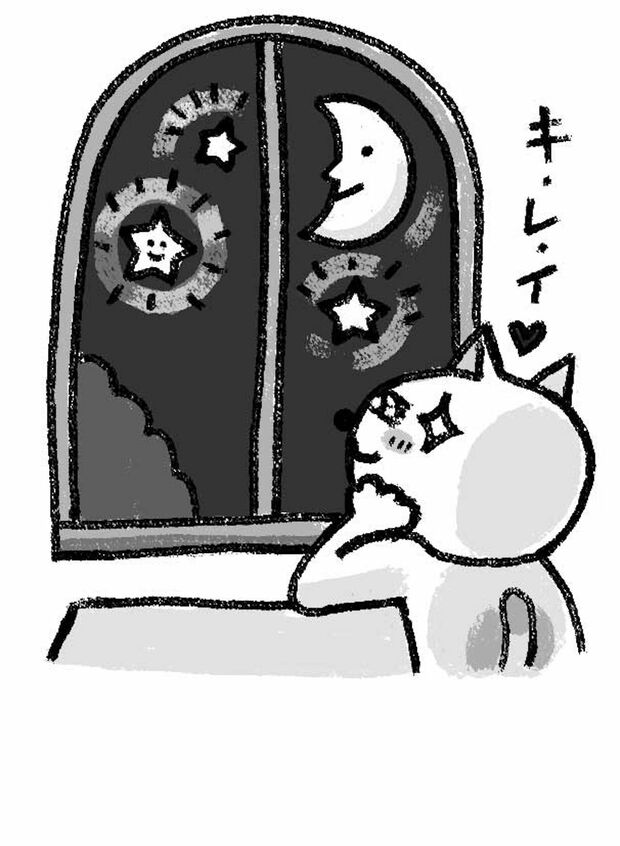 月見て、星見て、ああ、キレイ（イラスト／大塚さやか）