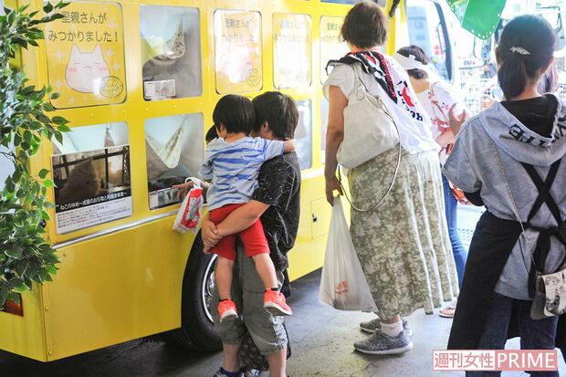 ホームセンターなどに出向き移動車で譲渡会を行うこともある