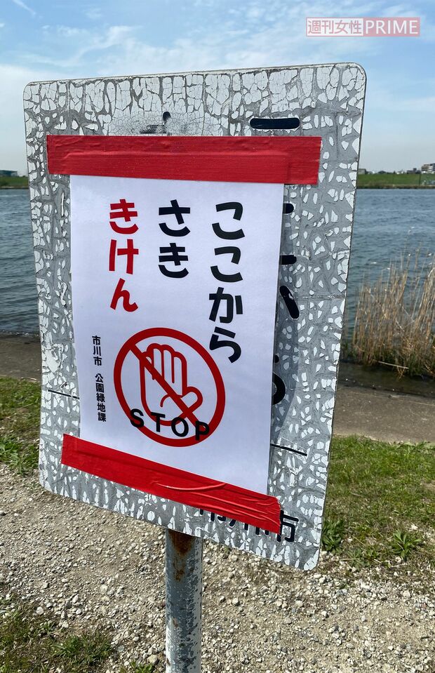 朔ちゃんの事件後に設置された張り紙。もともとの看板は文字が禿げていて注意喚起の役割を果たしていなかった