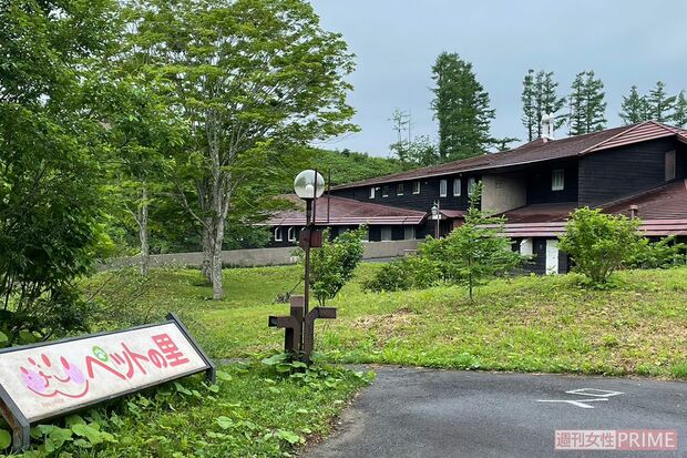 『ペットの里』