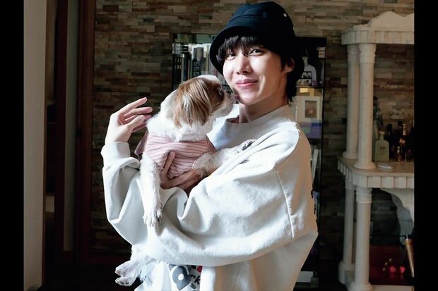 捨てられていた子犬が、今ではJ-HOPE家の大切な家族に。塩対応なミッキーにもデレデレ（公式SNSより）