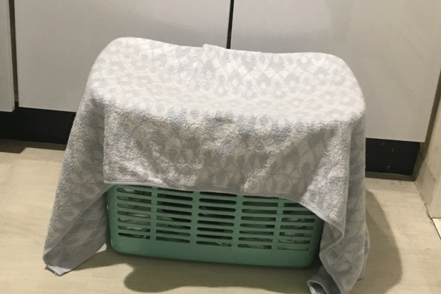 洗濯物は通気性が良い場所へ