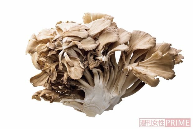 ビタミンDが豊富なきのこ類（撮影／廣瀬靖士）