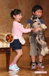 『マルモのおきて』制作発表（'11年）