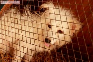 ※写真はイメージです