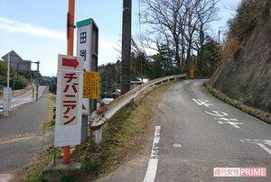 チバニアン斜面には赤、黄色、緑の札が張られて、磁気変動の地層が説明されている