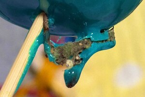 ネット上で拡散された“カビ付き”りんご飴