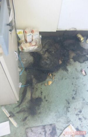 血液や体液の状態から故人がどんな最期を迎えたか推測できるという