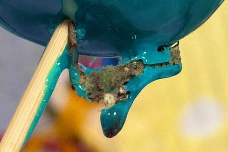 ネット上で拡散された“カビ付き”りんご飴