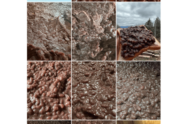 あんこまみれのインスタグラム（黒田大輔公式インスタグラムより）