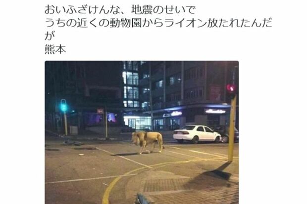 熊本地震で動物園のライオンが脱走したとする投稿（ツイッターより）