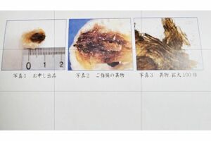 投稿主が受け取った報告書（スレッズより）